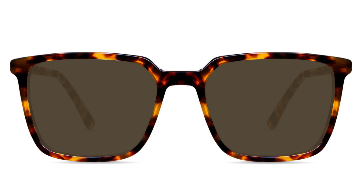 Delaney-Brown-Polarized