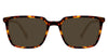 Delaney-Brown-Standard Solid