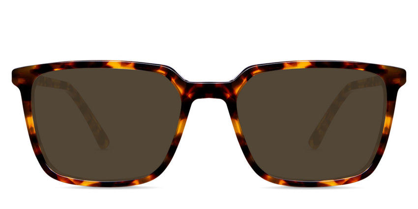 Delaney-Brown-Standard Solid