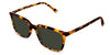 Delaney-Green-Polarized