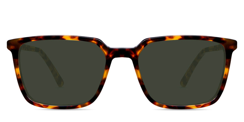 Delaney-Green-Polarized