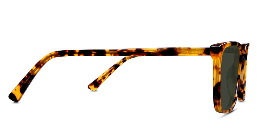 Delaney-Green-Polarized