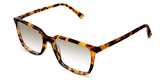 Delaney-Brown-Gradient