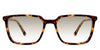 Delaney-Brown-Gradient