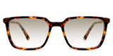 Delaney-Brown-Gradient