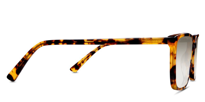 Delaney-Brown-Gradient