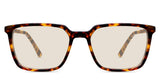 Delaney-Beige-Standard Solid