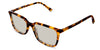 Delaney-Brown-Standard Solid