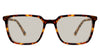 Delaney-Brown-Standard Solid