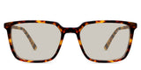 Delaney-Brown-Standard Solid