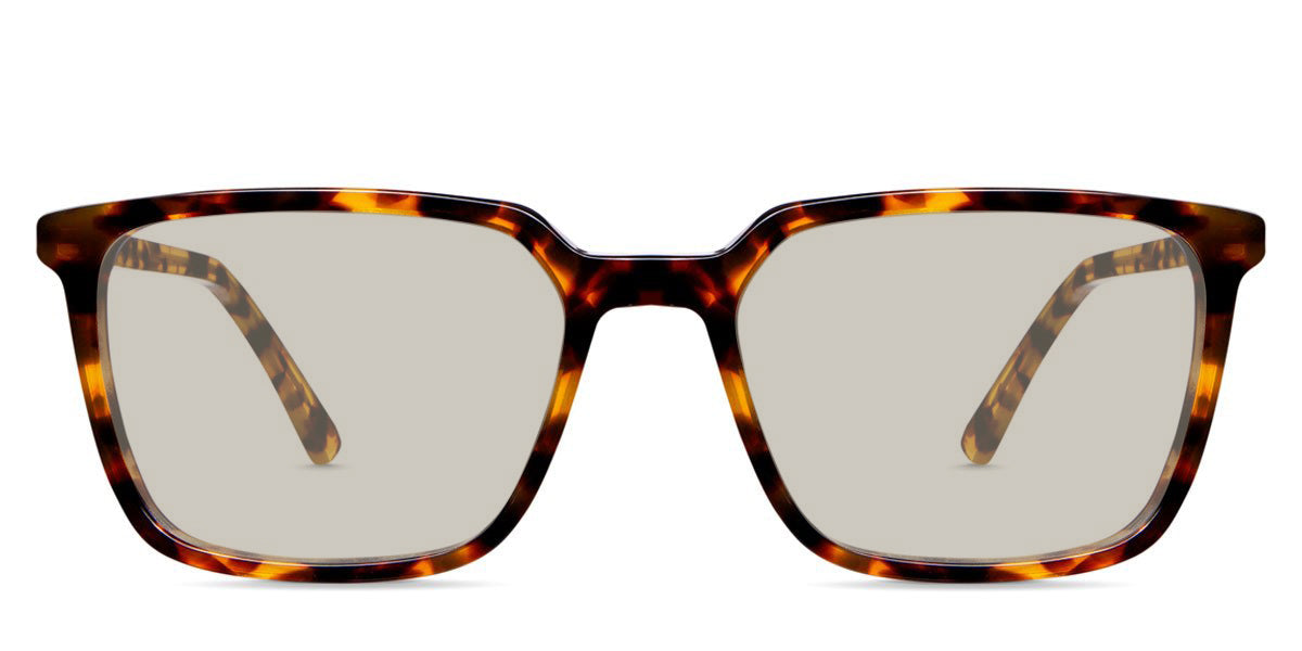 Delaney-Brown-Standard Solid