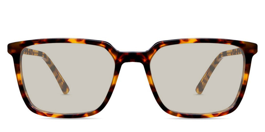 Delaney-Brown-Standard Solid