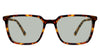 Delaney-Green-Standard Solid