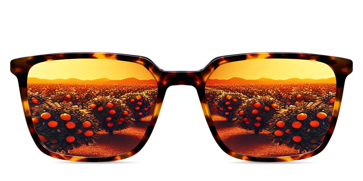 Delaney-Orange-Mirror