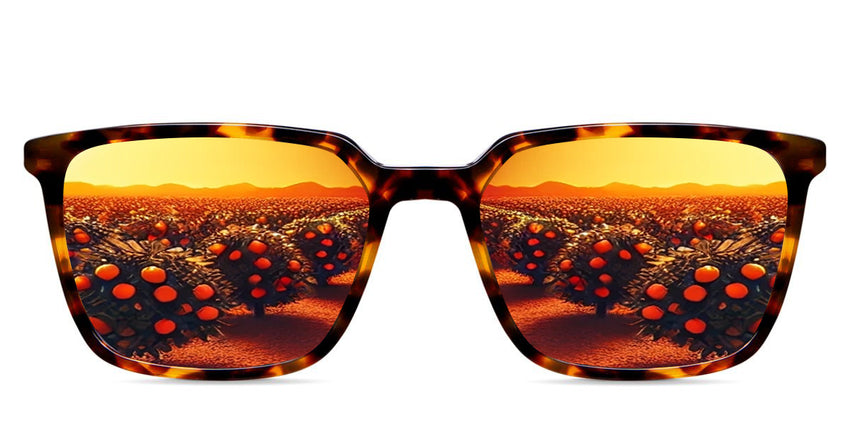 Delaney-Orange-Mirror