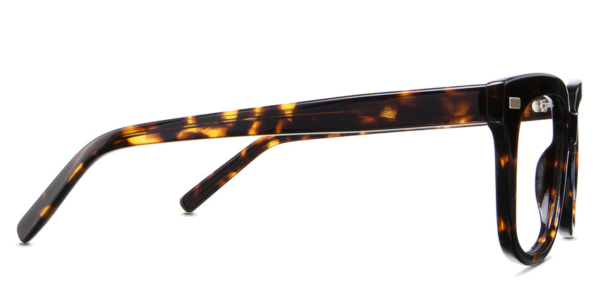 Mun Eyeglasses in sacalia variant - have a medium thick arm to slightly slimmer tips.