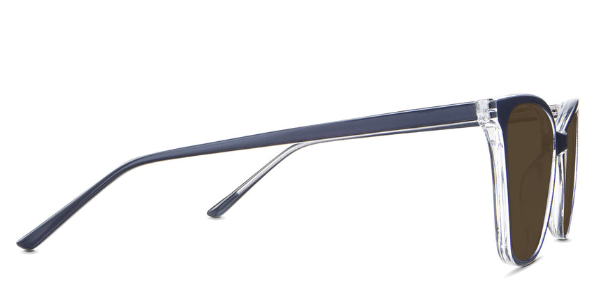 Yale-Brown-Standard Solid