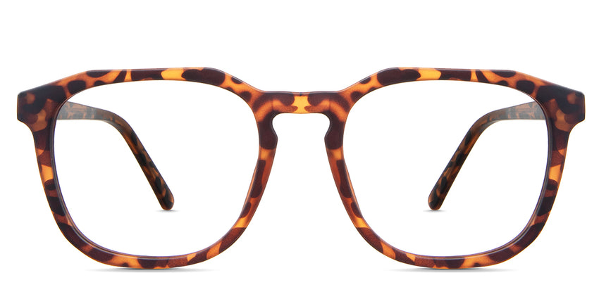 Reign eyeglasses in the tortoise variant - it's a full-rimmed frame in color tortoise.