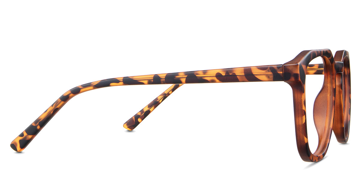 Reign eyeglasses in the tortoise variant - have a frame name, color, and size information written inside the arm.