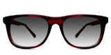 Shimer black tinted Gradient glasses in habanero variant - it's frame size 52-19-145