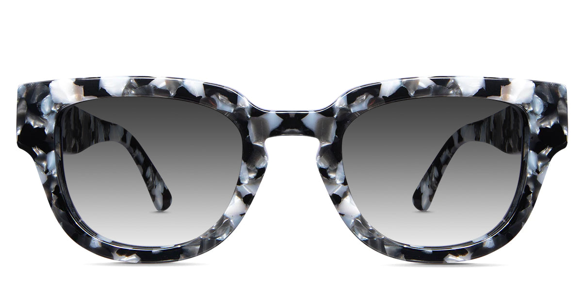 Taro black tinted Gradient glasses in charcoal variant in tortoiseshell pattern