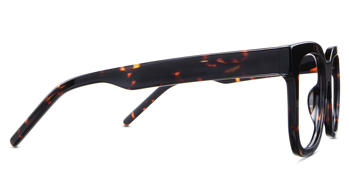 Tatum eyeglasses in the tortoise variant - have a long temple arm.