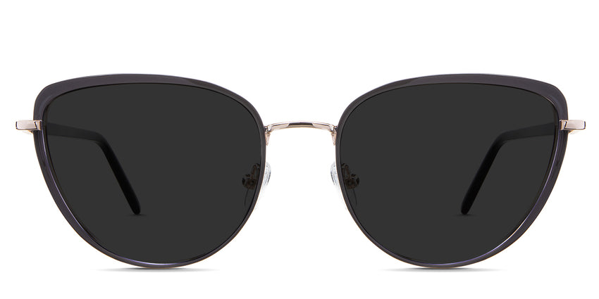 Trinity black tinted Standard Solid sunglasses is in the Elk variant - it's a metal frame with a narrow-width nose bridge and a slim temple arm and tips.