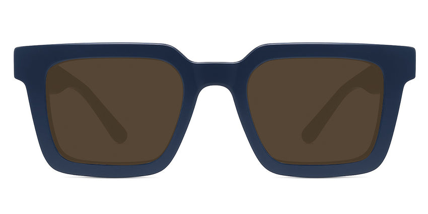Navy-Brown-Polarized