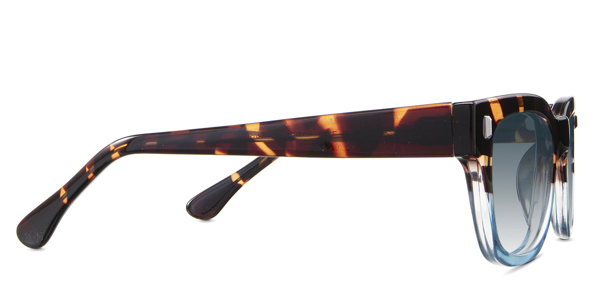 Dragonets-Blue-Gradient