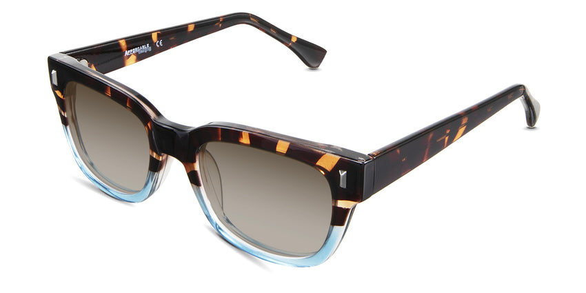 Dragonets-Brown-Gradient