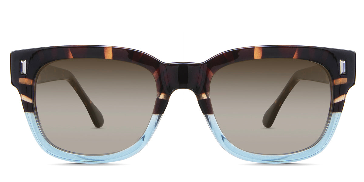 Dragonets-Brown-Gradient