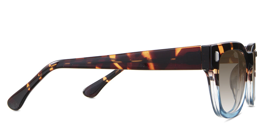 Dragonets-Brown-Gradient