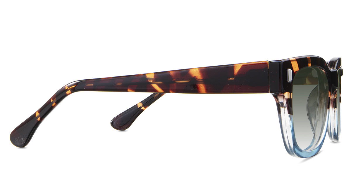 Dragonets-Green-Gradient