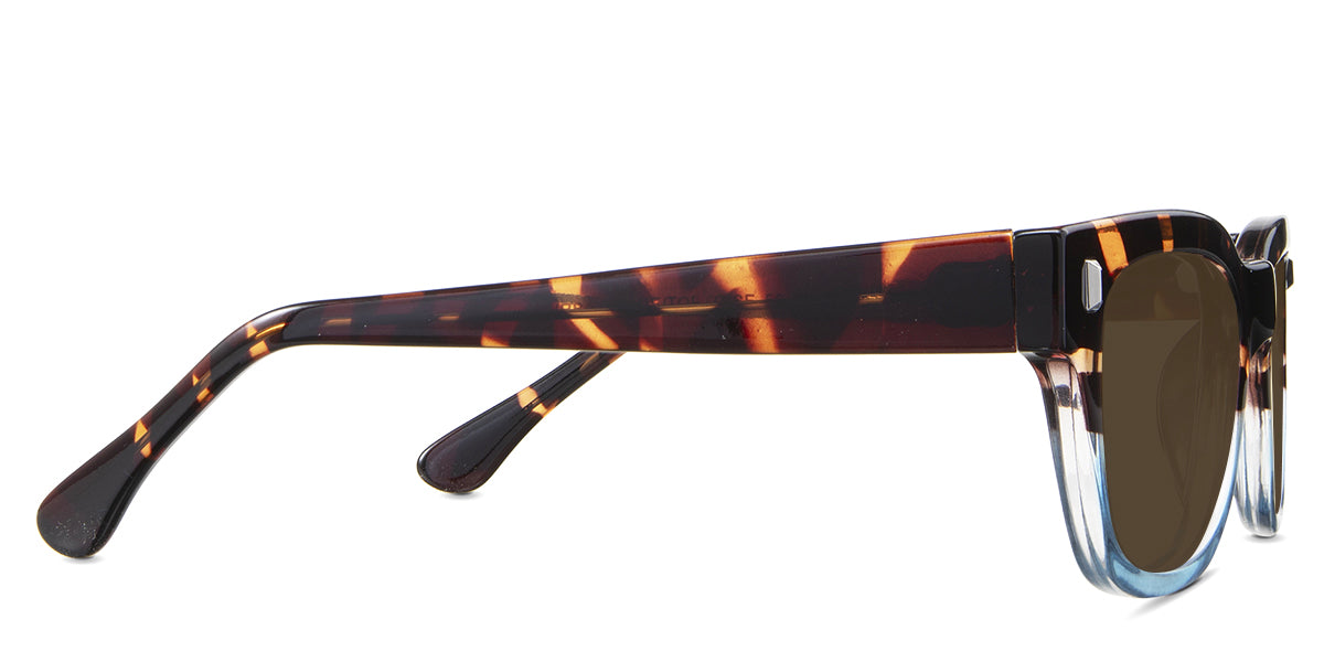 Dragonets-Brown-Standard Solid