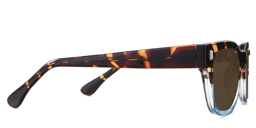 Dragonets-Brown-Standard Solid