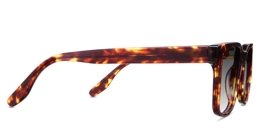 Delaney-Black-Gradient