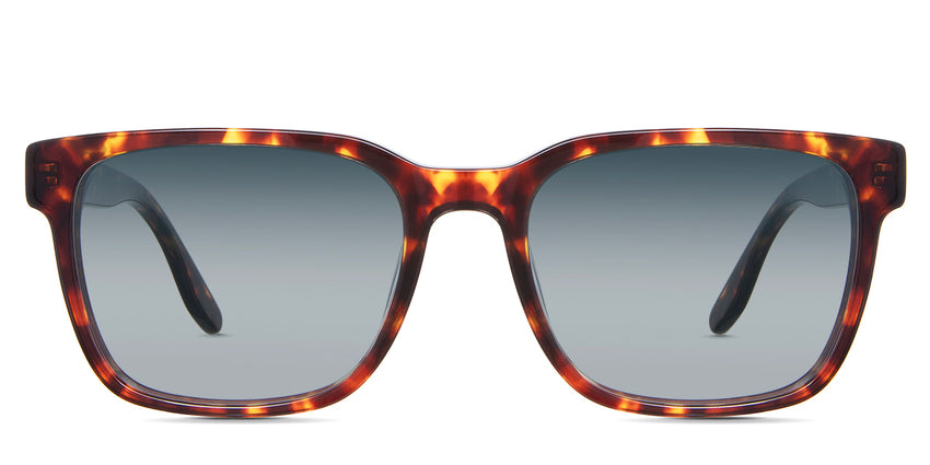 Delaney-Blue-Gradient