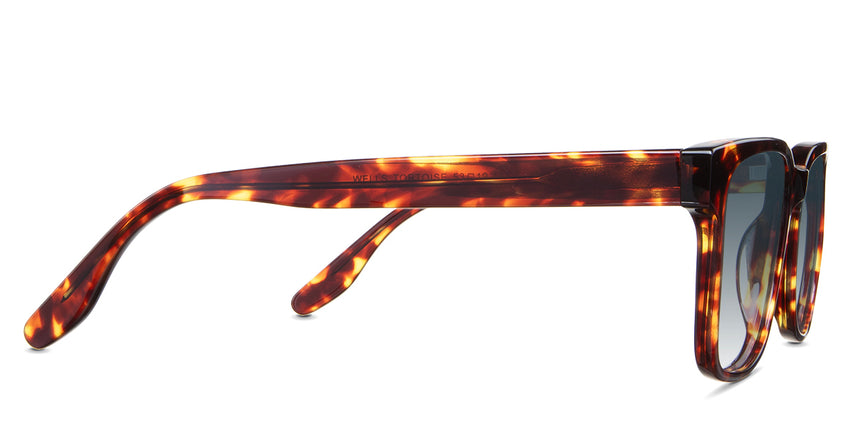 Delaney-Blue-Gradient