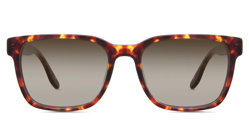 Delaney-Brown-Gradient