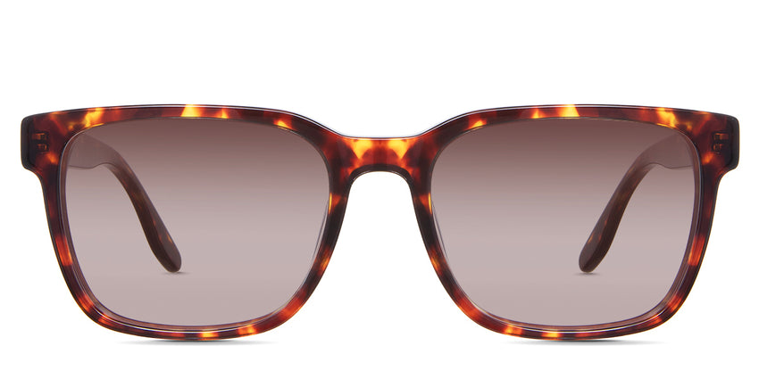 Delaney-Rose-Gradient