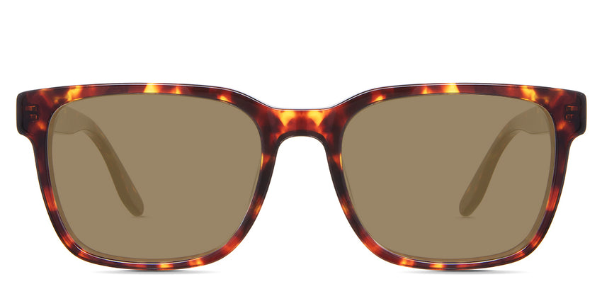 Delaney-Beige-Standard Solid