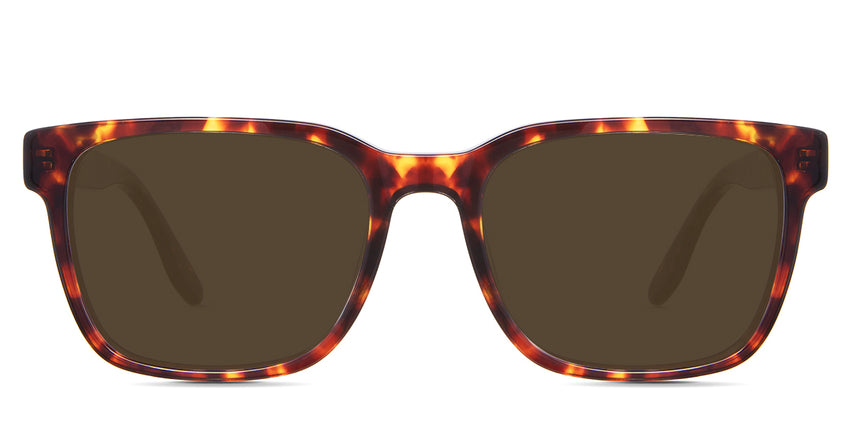 Delaney-Brown-Standard Solid