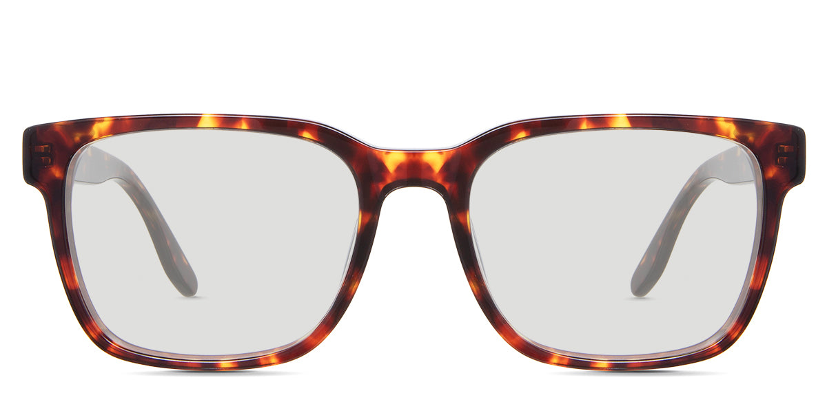 Wells Delaney Light-responsive Gray