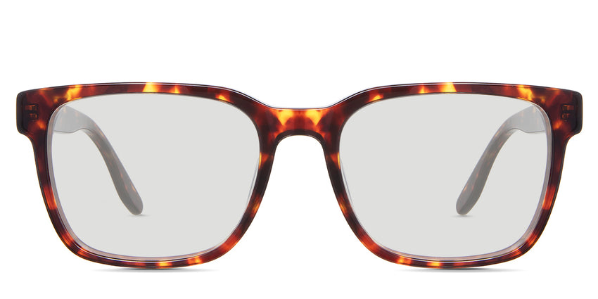 Wells Delaney Light-responsive Gray