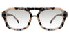 Zaro black tinted Gradient glasses in serenata variant - it's medium size frame in tortoiseshell style