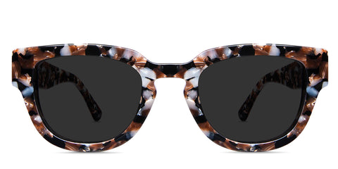 Taro black tinted Standard Solid sunglasses in sila variant in tortoise style