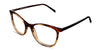 Oneill glasses in chestnut variant - square frame for women in brown and orange colour - it has high nose bridge and dark brown temple arms